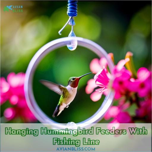 Hanging Hummingbird Feeders With Fishing Line