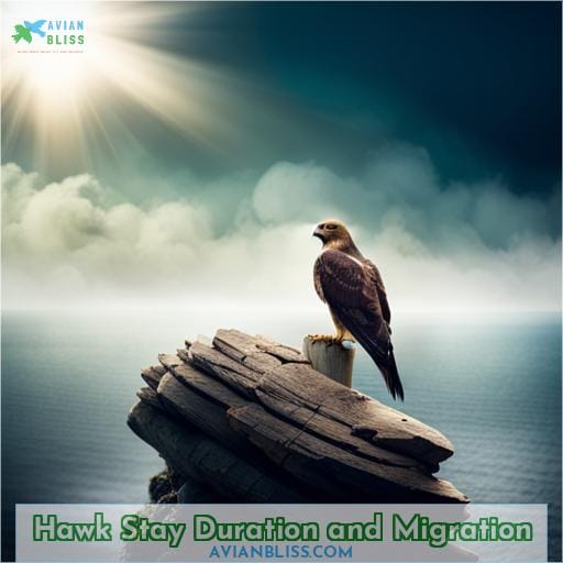 Hawk Stay Duration and Migration