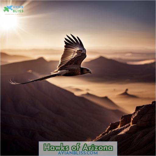 Hawks of Arizona