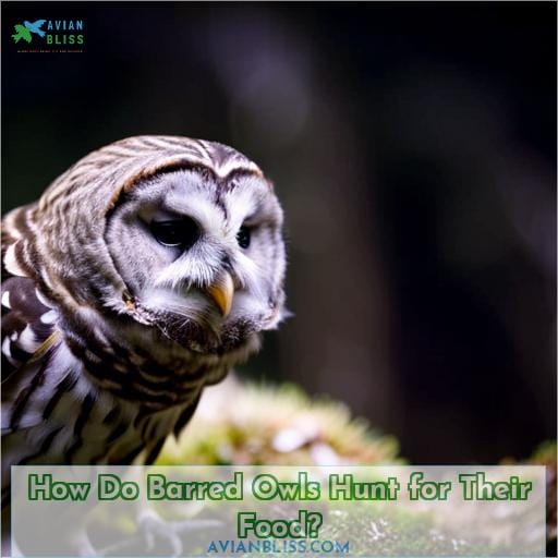 How Do Barred Owls Hunt for Their Food