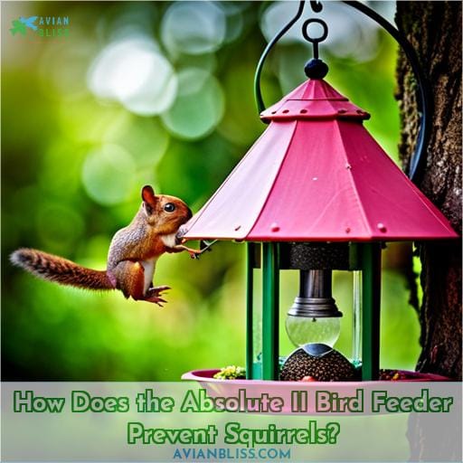 How Does the Absolute II Bird Feeder Prevent Squirrels