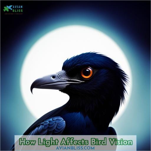 How Light Affects Bird Vision
