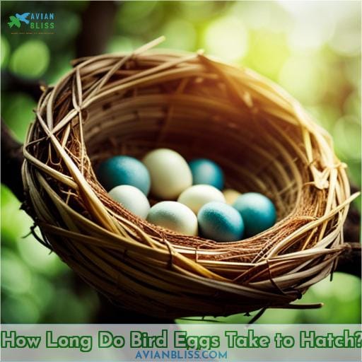 how long does it take for bird eggs to hatch