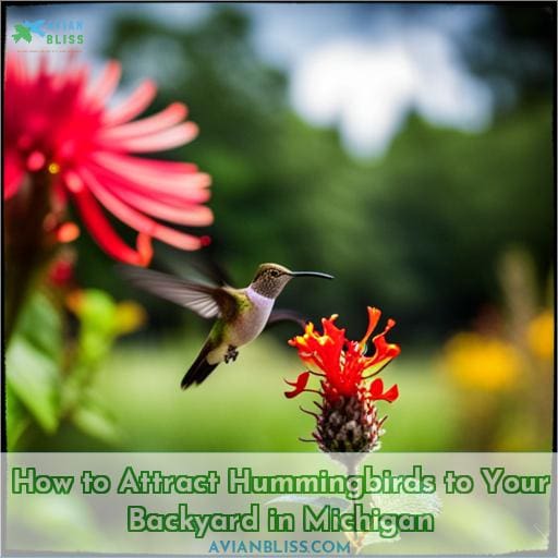 How to Attract Hummingbirds to Your Backyard in Michigan