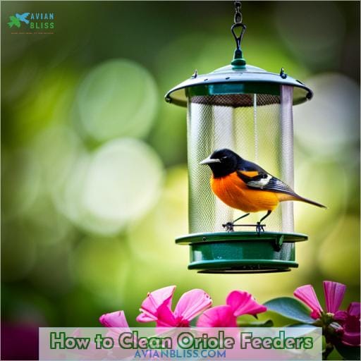 How to Clean Oriole Feeders