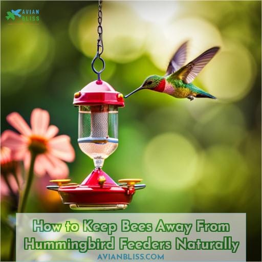 How to Keep Bees Away From Hummingbird Feeders Naturally