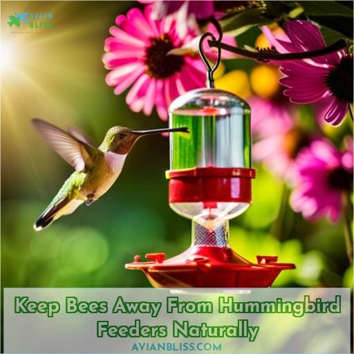 how to keep bees away from hummingbird feeders