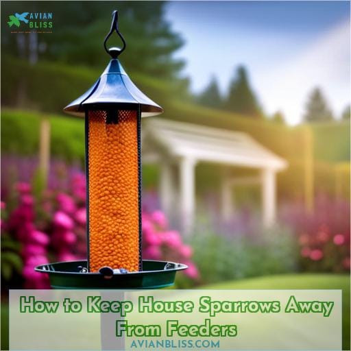 How to Keep House Sparrows Away From Feeders