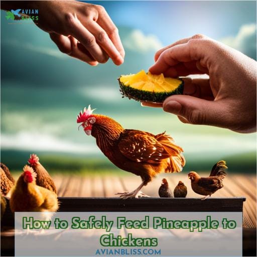 How to Safely Feed Pineapple to Chickens