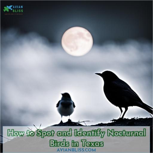How to Spot and Identify Nocturnal Birds in Texas