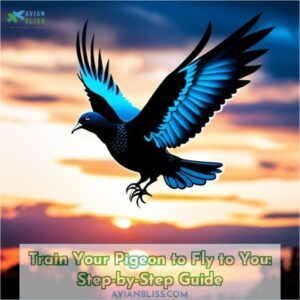 how to train a pigeon to fly to you