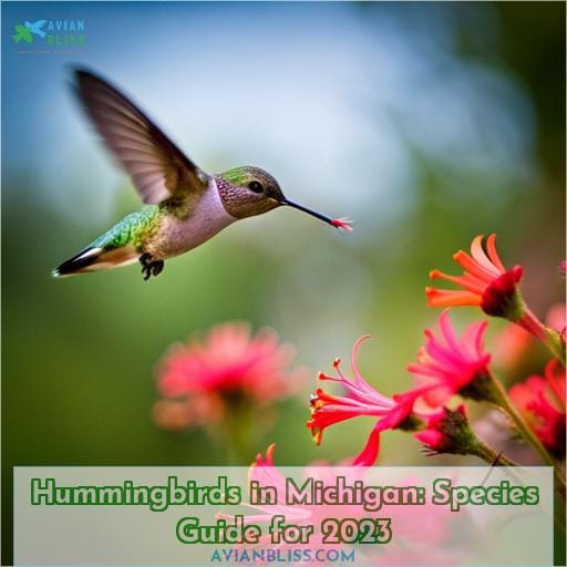 hummingbirds in michigan