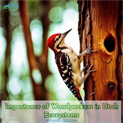 Importance of Woodpeckers in Utah Ecosystems
