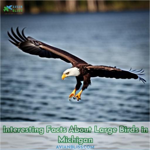 Interesting Facts About Large Birds in Michigan