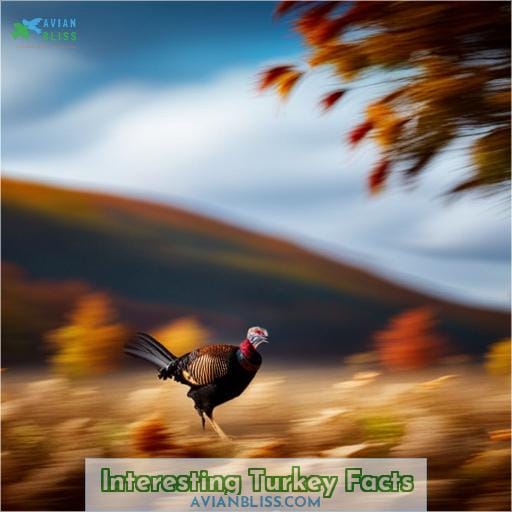 Interesting Turkey Facts