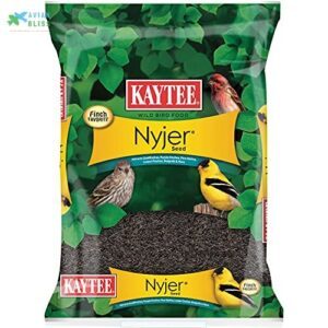 Kaytee Nyjer Wild Bird Food B0002AQQTW