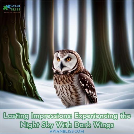 Lasting Impressions: Experiencing the Night Sky With Dark Wings