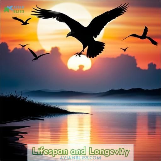 Lifespan and Longevity