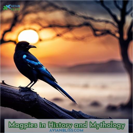 Magpies in History and Mythology