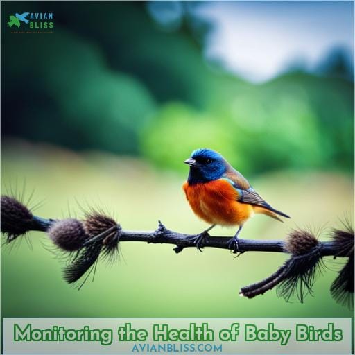Monitoring the Health of Baby Birds