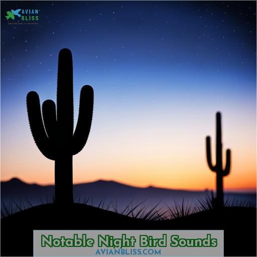 Notable Night Bird Sounds