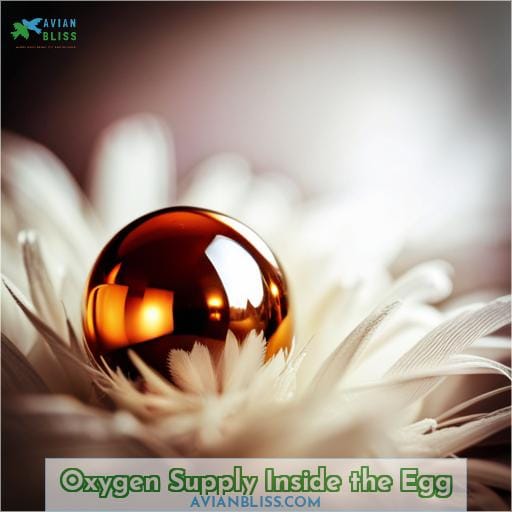 Oxygen Supply Inside the Egg