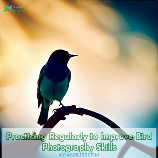 Practicing Regularly to Improve Bird Photography Skills