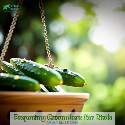 Preparing Cucumbers for Birds