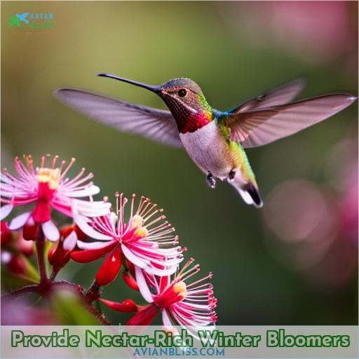 Provide Nectar-Rich Winter Bloomers