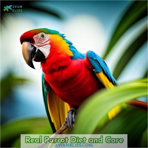 Real Parrot Diet and Care
