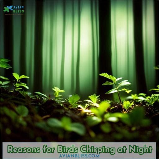 Reasons for Birds Chirping at Night
