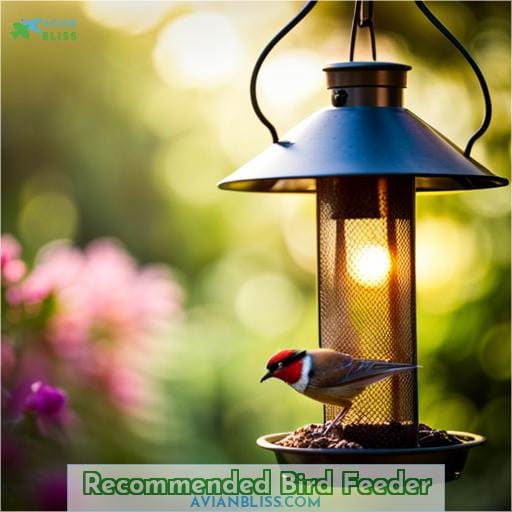 Recommended Bird Feeder