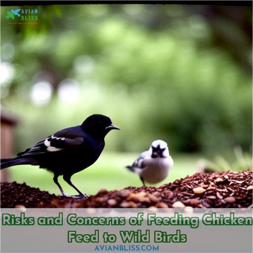 Risks and Concerns of Feeding Chicken Feed to Wild Birds