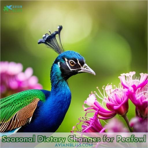 Seasonal Dietary Changes for Peafowl