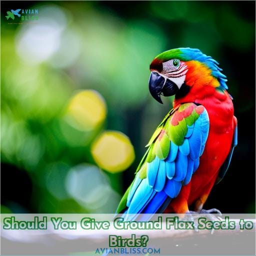 Should You Give Ground Flax Seeds to Birds