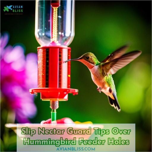 Slip Nectar Guard Tips Over Hummingbird Feeder Holes