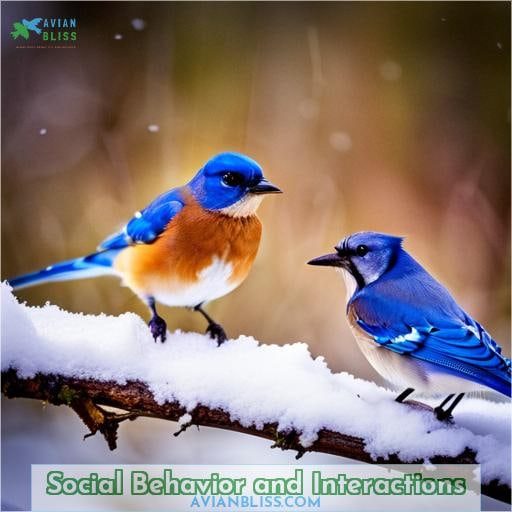 Social Behavior and Interactions