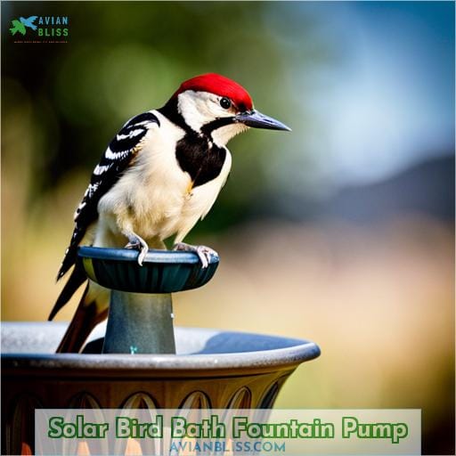 Solar Bird Bath Fountain Pump