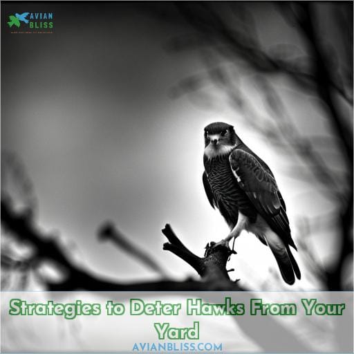 Strategies to Deter Hawks From Your Yard