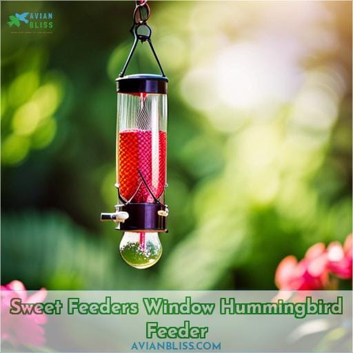 Sweet Feeders Window Hummingbird Feeder