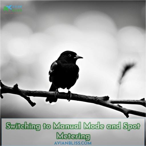 Switching to Manual Mode and Spot Metering