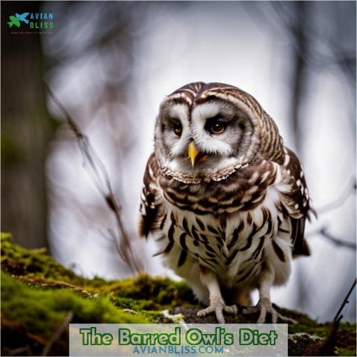 The Barred Owl’s Diet