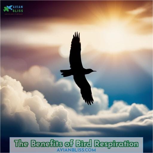 The Benefits of Bird Respiration