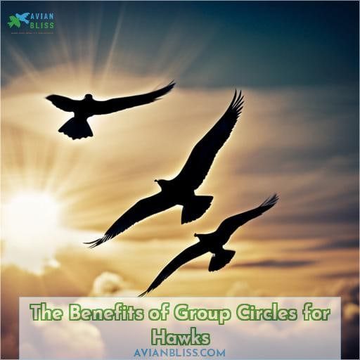 The Benefits of Group Circles for Hawks