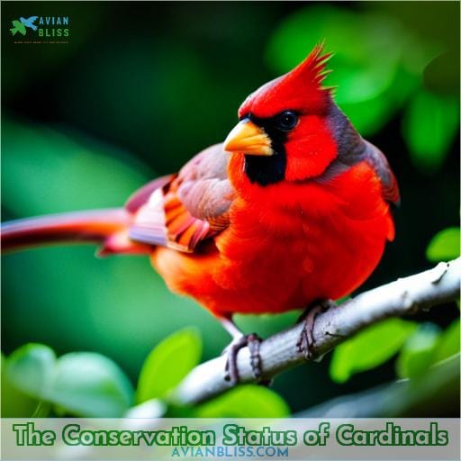 The Conservation Status of Cardinals
