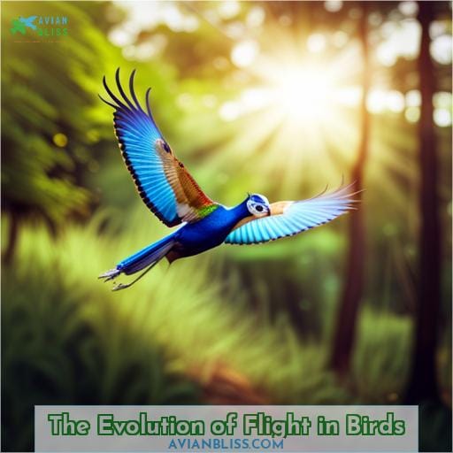 The Evolution of Flight in Birds