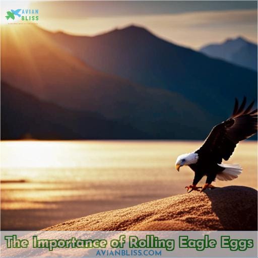 The Importance of Rolling Eagle Eggs