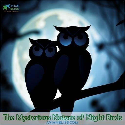 The Mysterious Nature of Night Birds