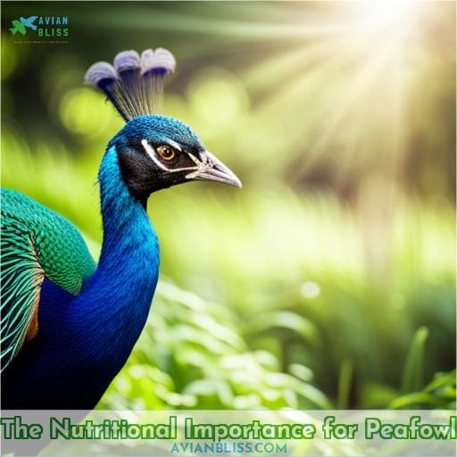 The Nutritional Importance for Peafowl