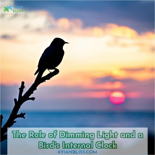 The Role of Dimming Light and a Bird